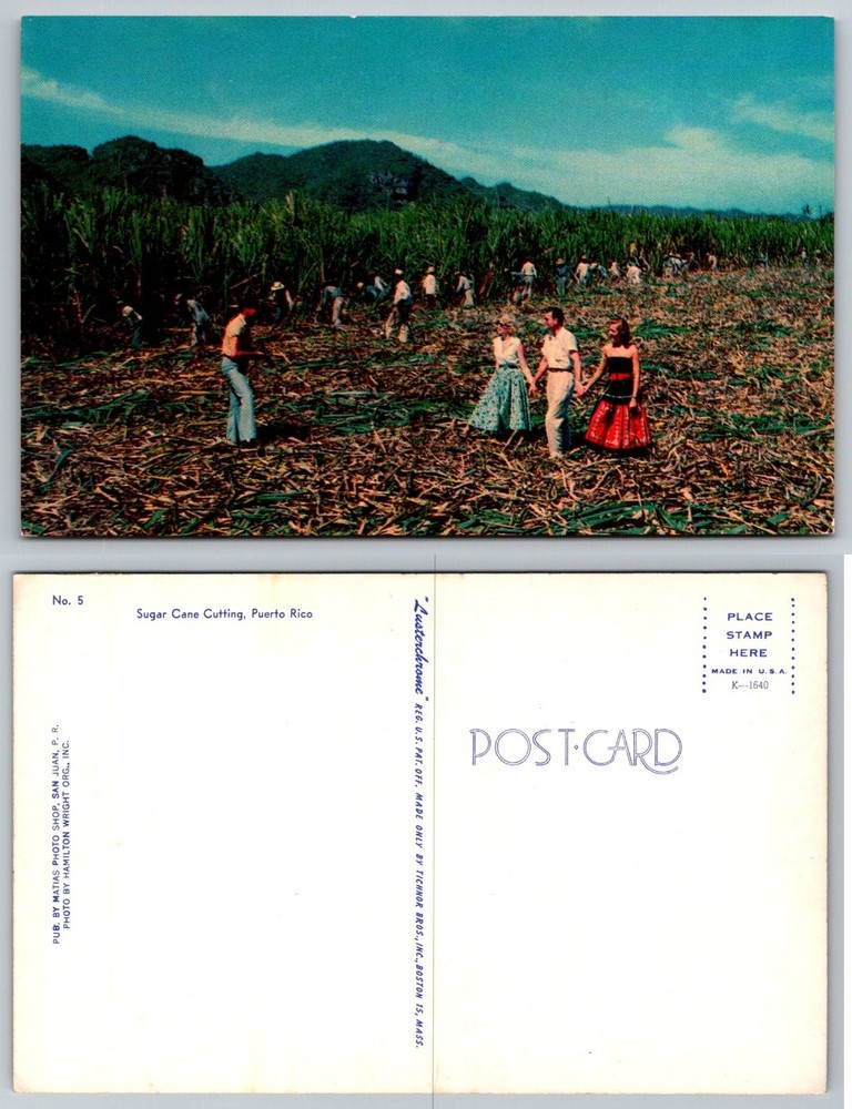 Vintage Puerto Rico Postcard Sugar Cane Cutting Tichnor Bros. Lusterchrome 1950s