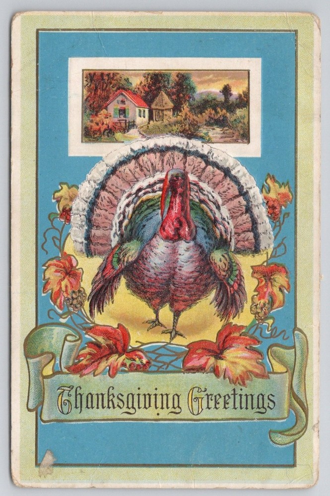 Vintage Thanksgiving Greetings Embossed Postcard - Turkey & Farm Scene