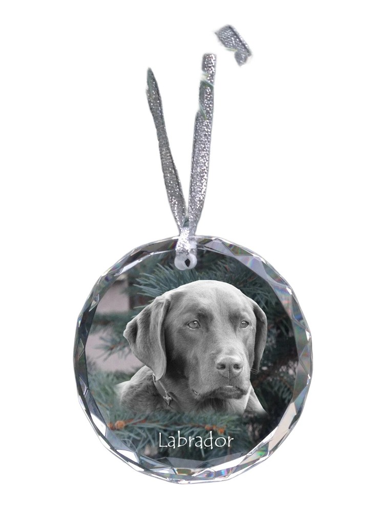 Labrador Retriever - Crystal Ball With Photo, Little IN Crystal, Personalised