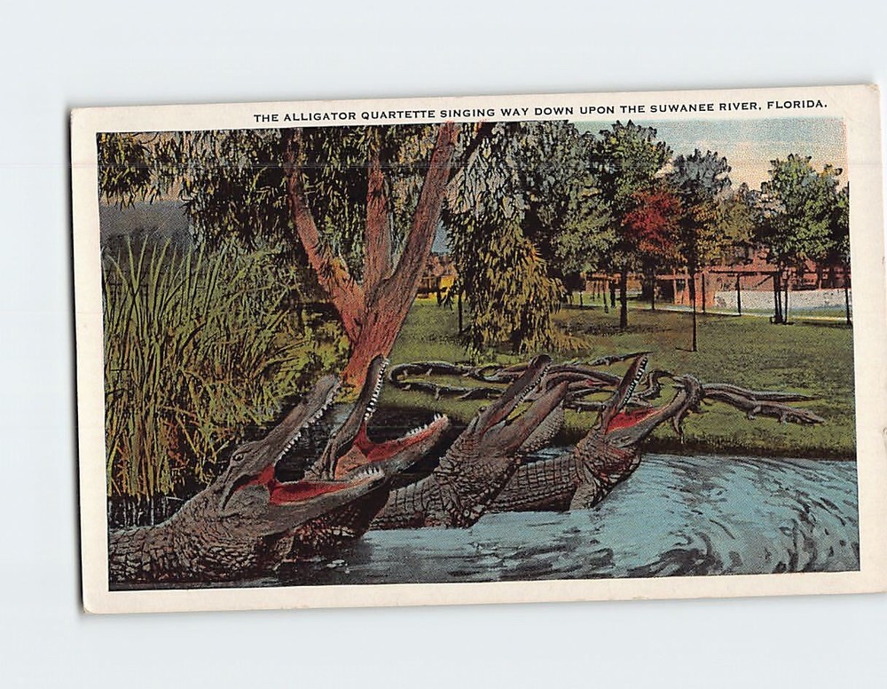 Postcard The Alligator Quartette Singing Way Down Upon The Suwanee River Florida
