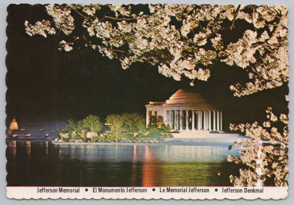 Washington DC~Jefferson Memorial @ Night~Cherry Blossoms~Continental Postcard