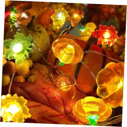Thanksgiving Fall lights Decoration 10FT 30 LED 3D 1 Pack Thanksgiving lights