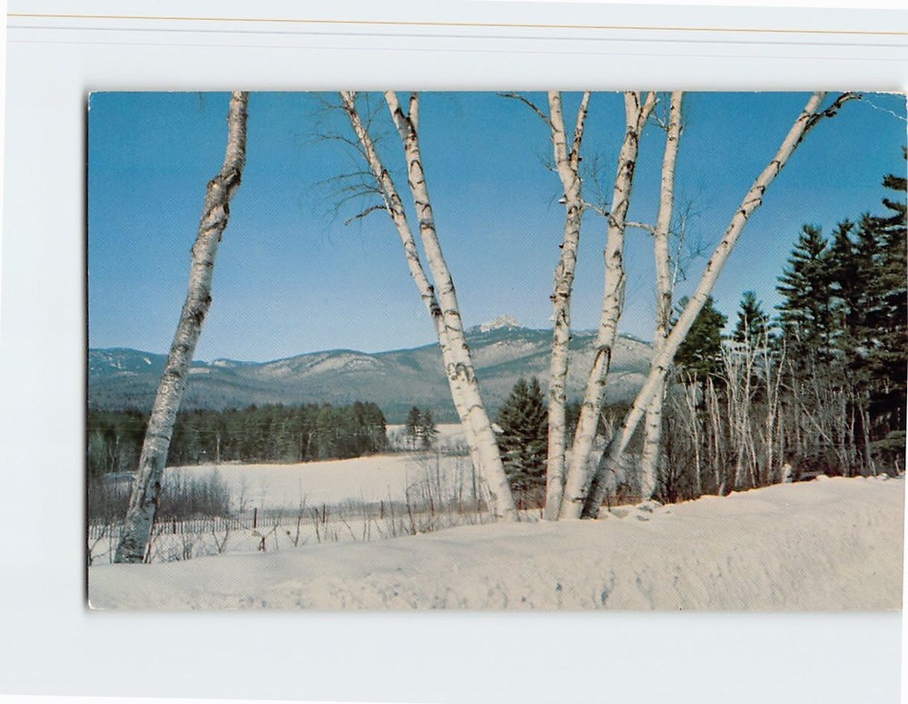 Postcard Lake & Mt. Chocorua Winter Scene Albany New Hampshire USA