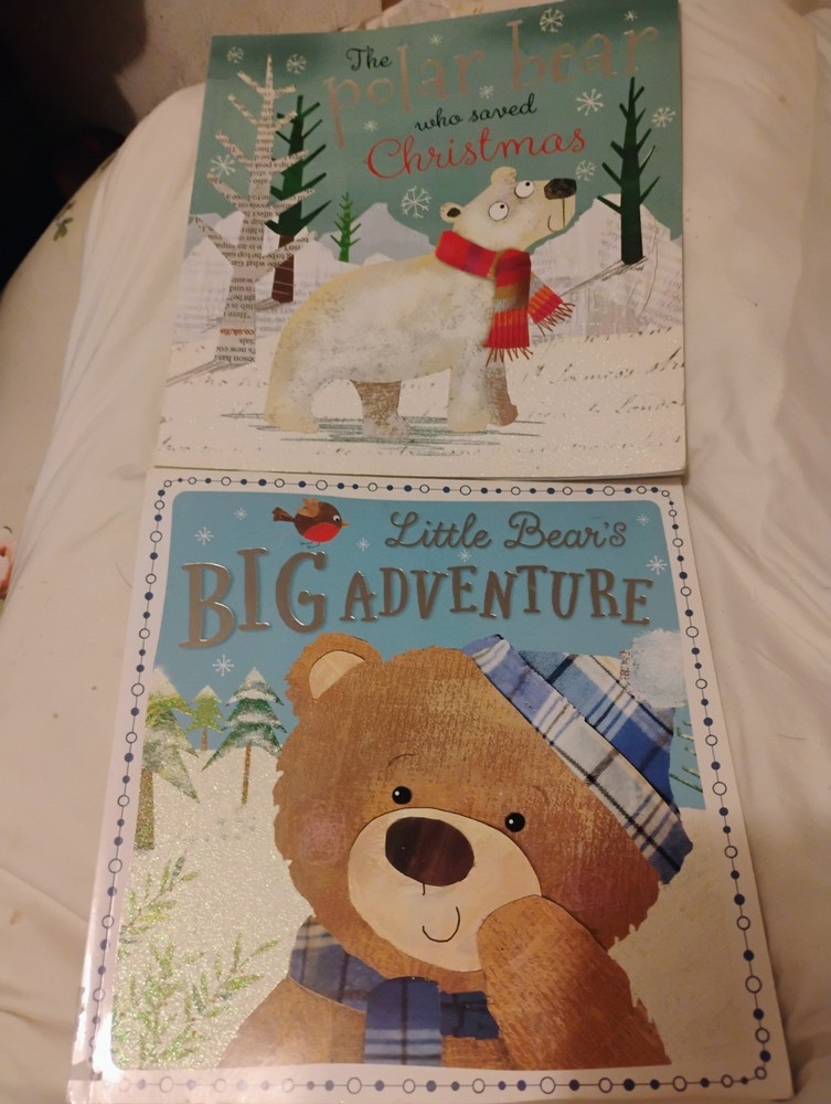 Set of Kids Books- Polar Bear Who Saved Christmas & Little Bear's Big Adventure