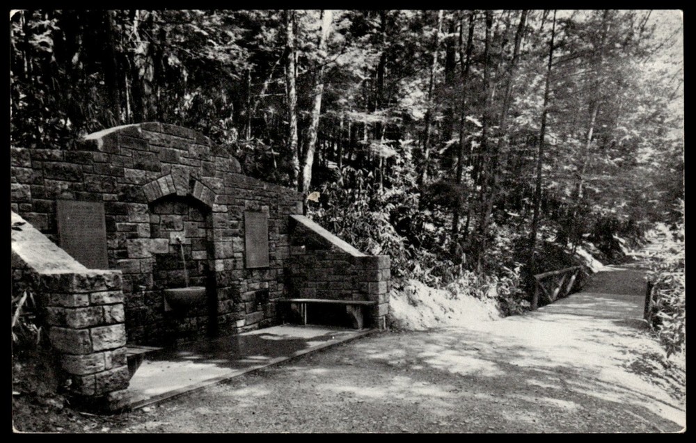Cook Forest PA Memorial Spring Longfellow Trail RPPC Postcard 1950s Dexter Press