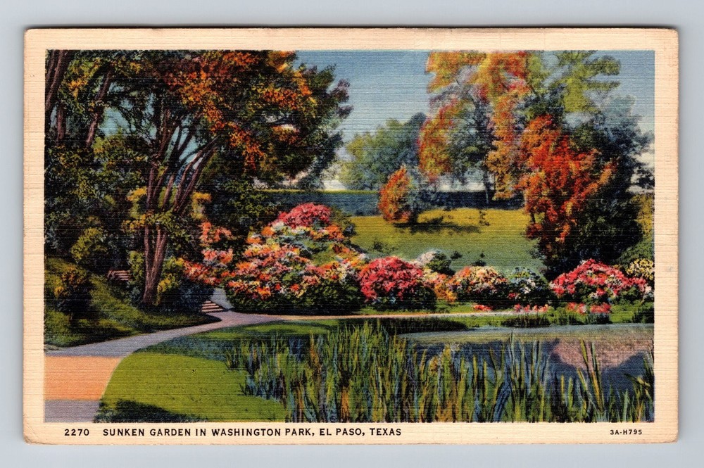 El Paso TX-Texas Sunken Garden In Washington Park Vintage Postcard Souvenir