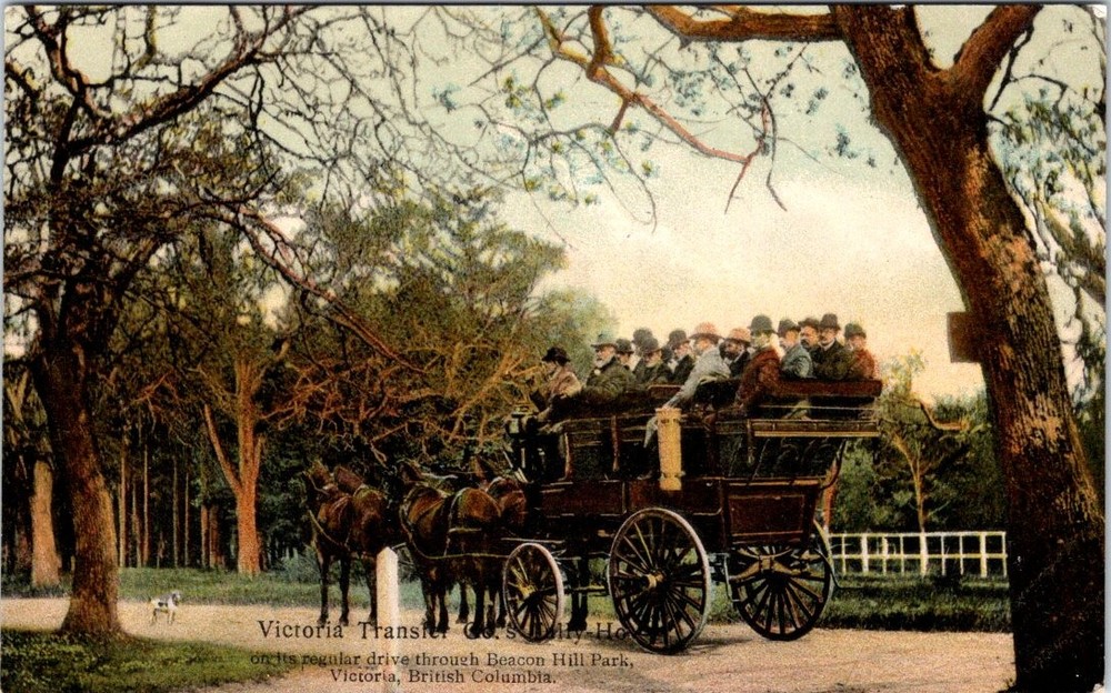 1910, Victoria Transfer Co., Beacon Hill Park, VICTORA, B.C., Canada Postcard