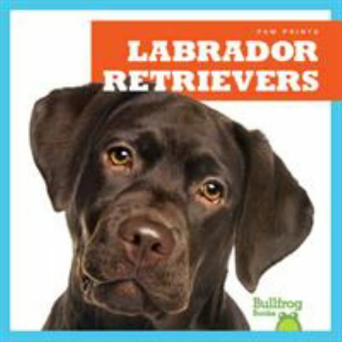Labrador Retrievers (Bullfrog Books: Paw Prints) by Jenna Lee Gleisner, Acceptab