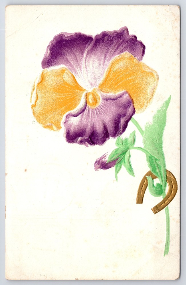 Greetings~Purple & Yellow Flower On White Bkgd~Gold Horseshoe~Vintage Postcard