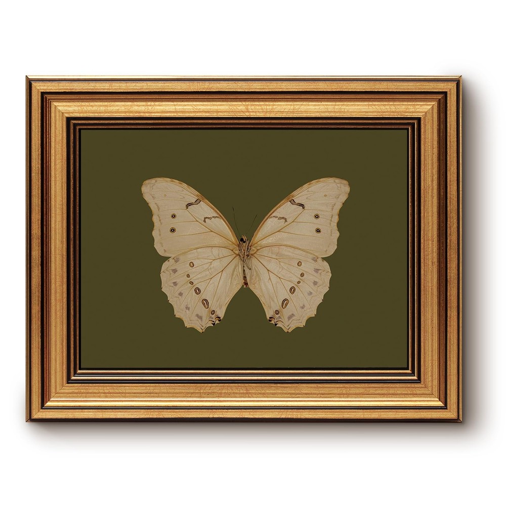 Gold Framed Canvas Wall Art, Vintage Butterfly Wall Decor for Living Room, Mo...