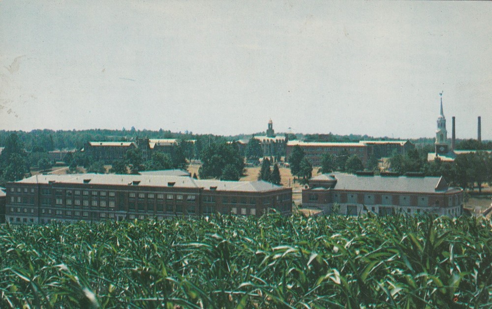 College of Agriculture University of Connecticut Arts and Sciences Postcard