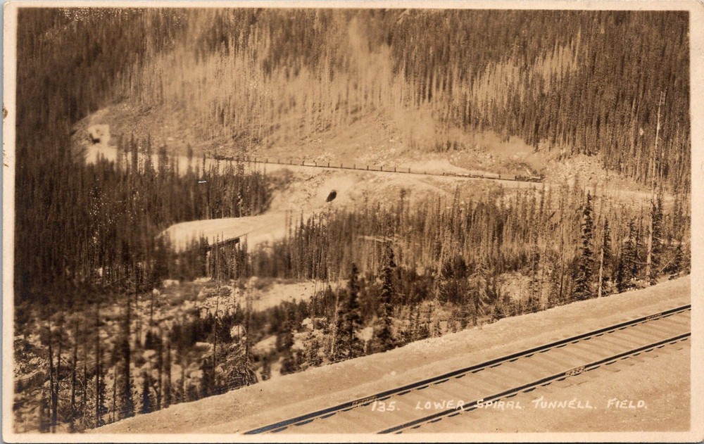 Field British Columbia Kicking Horse Pass Spiral Railroad RPPC Postcard    30689