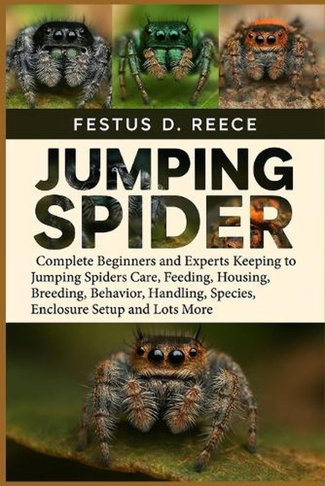 Jumping Spider: Complete Beginners and Experts Keeping to Jumping Spiders Care,