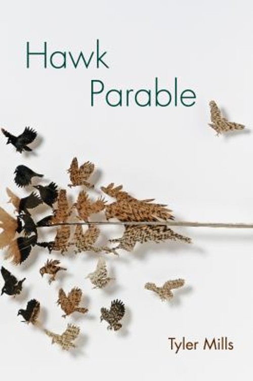 Hawk Parable Paperback Tyler MillsFree US Delivery | ISBN:1629221058
