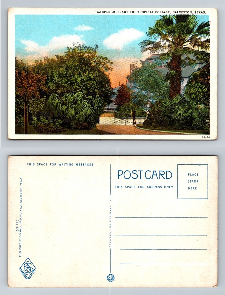 Galveston, TX-Texas, Tropical Foliage Residential Garden Scene Vintage Postcard