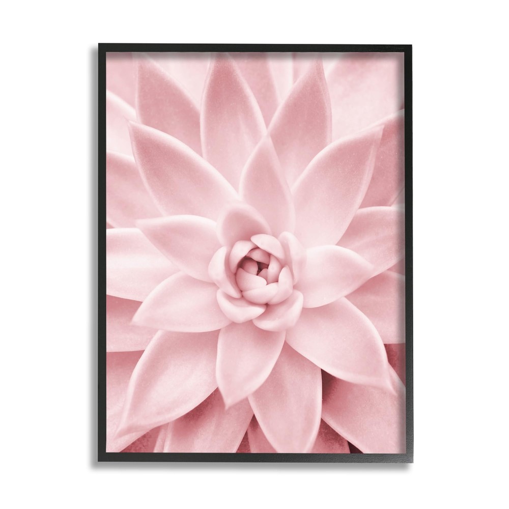 Pastel Pink Succulent Black Framed Giclee Art Design by Sisi and Seb
