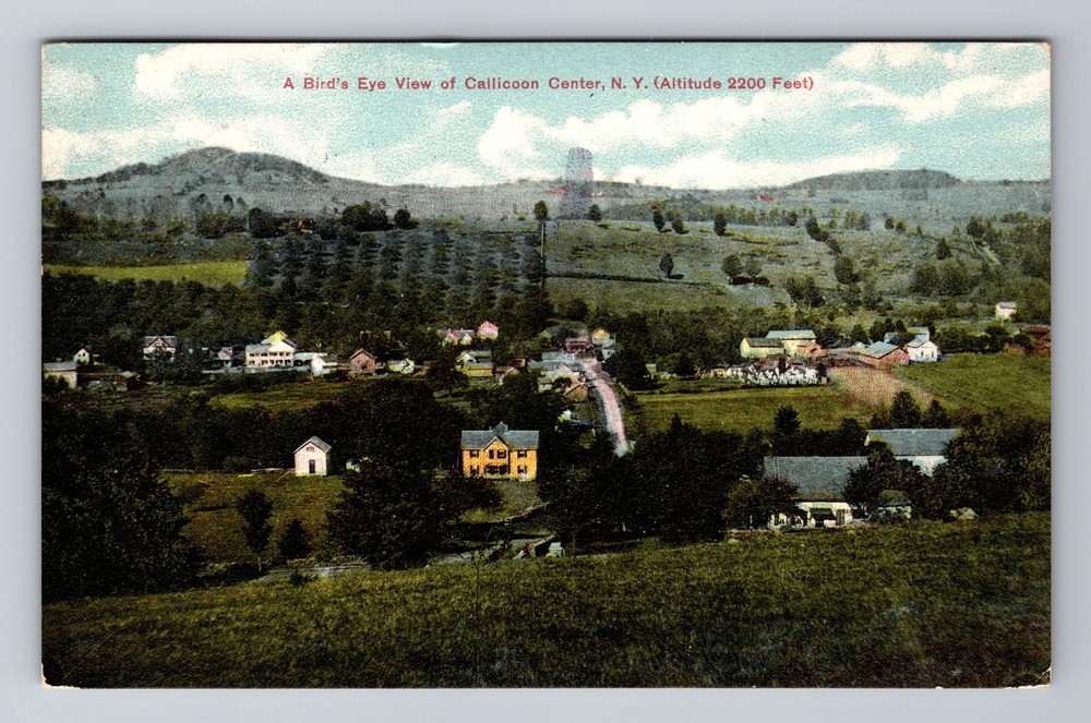 Callicoon Center NY-New York, A Birds Eye View Of Area, Vintage c1909 Postcard