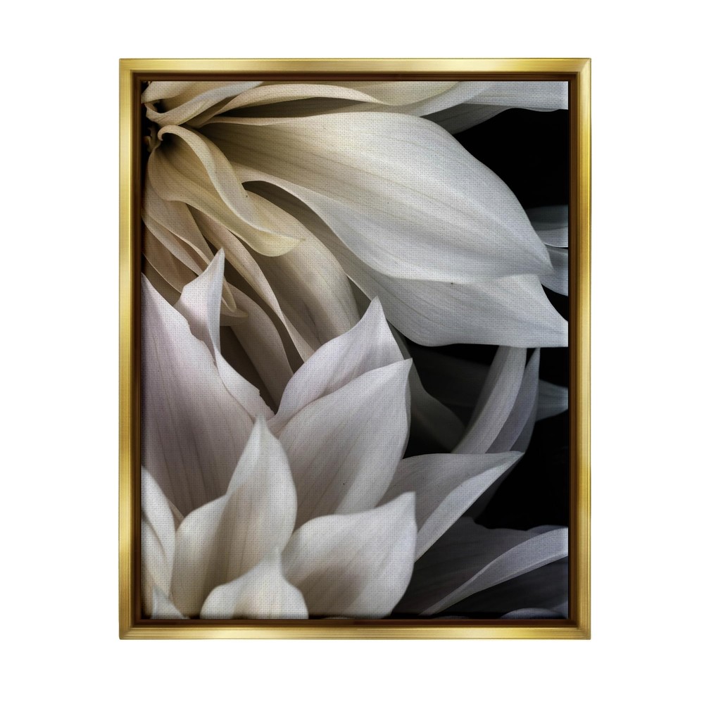 Grey Dahlia Petals Framed Floater Canvas Wall Art by Judy Stalus