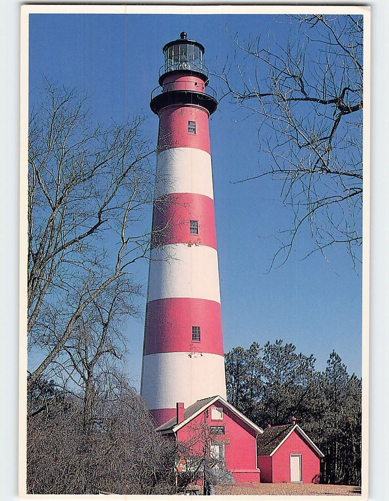 Postcard Assateague Lighthouse on Assateague Island Virginia USA