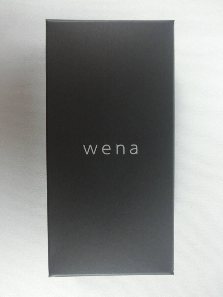 Wena 3 19mm Silicon Band Connector for WNW-21 A Watch Strap