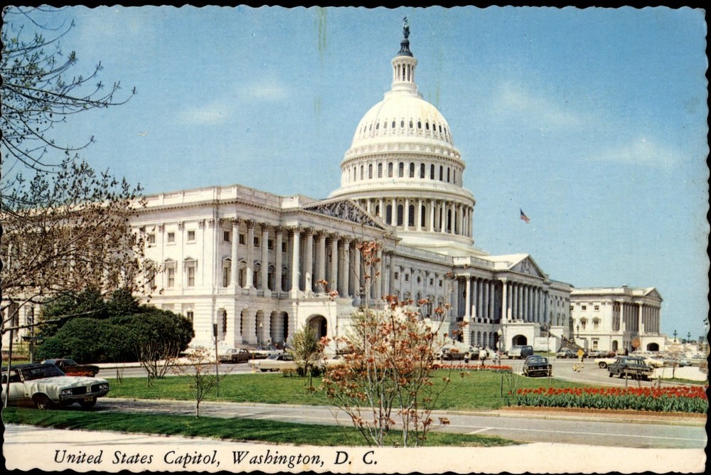 Washington DC Capitol building tulips unused vintage postcard sku419
