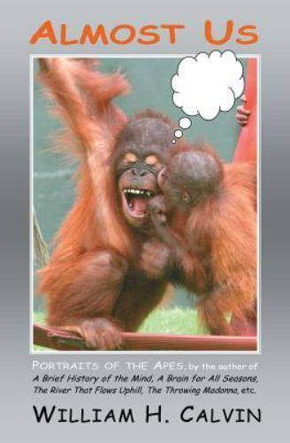 Almost Us : Portraits of the Apes, Paperback by Calvin, William H., Like New ...
