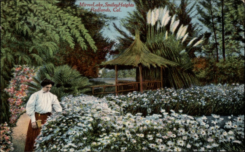 Mirror Lake Smiley Heights Redlands California ~ c1910 Edwardian woman daisies