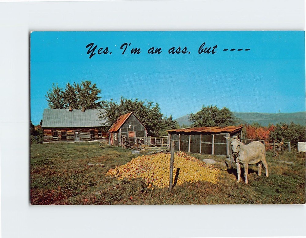 Postcard Yes Im an ass but You see I do know my apples with Farm Donkey Scene