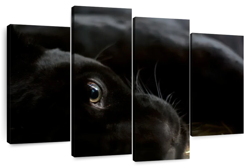 Comfortable Black Panther Wall Art