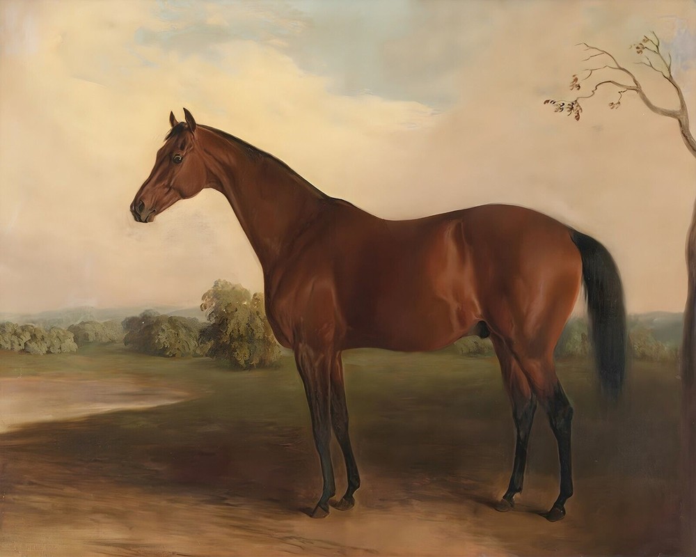 Race Horse Red Sovereign Print 11x14 200yr Ink Museum 100% Cotton Paper A12
