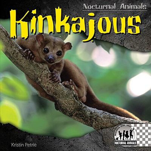 Kinkajous Hardcover Kristin Petrie