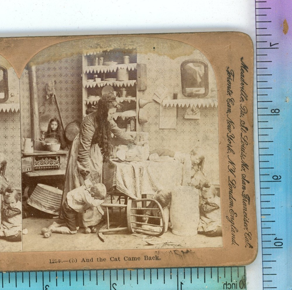 And the Cat Came Back Children Keystone Stereoview