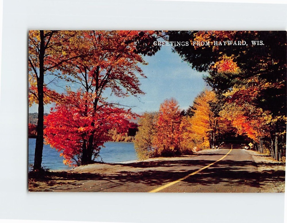 Postcard Autumn Scene From Hayward Wisconsin Greetings