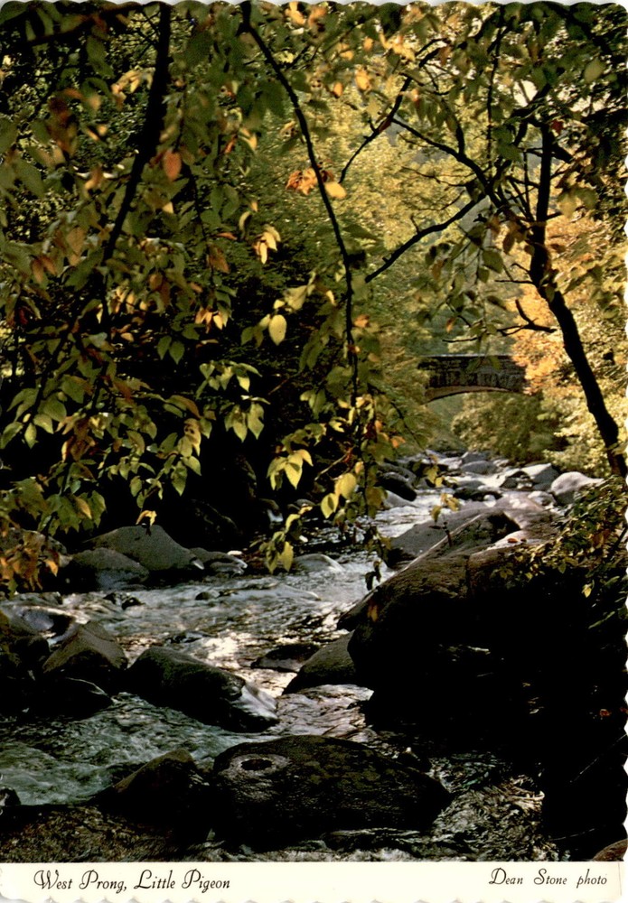 Chimneys Campground, Great Smoky Mountains National Park, U.S. 441 Postcard