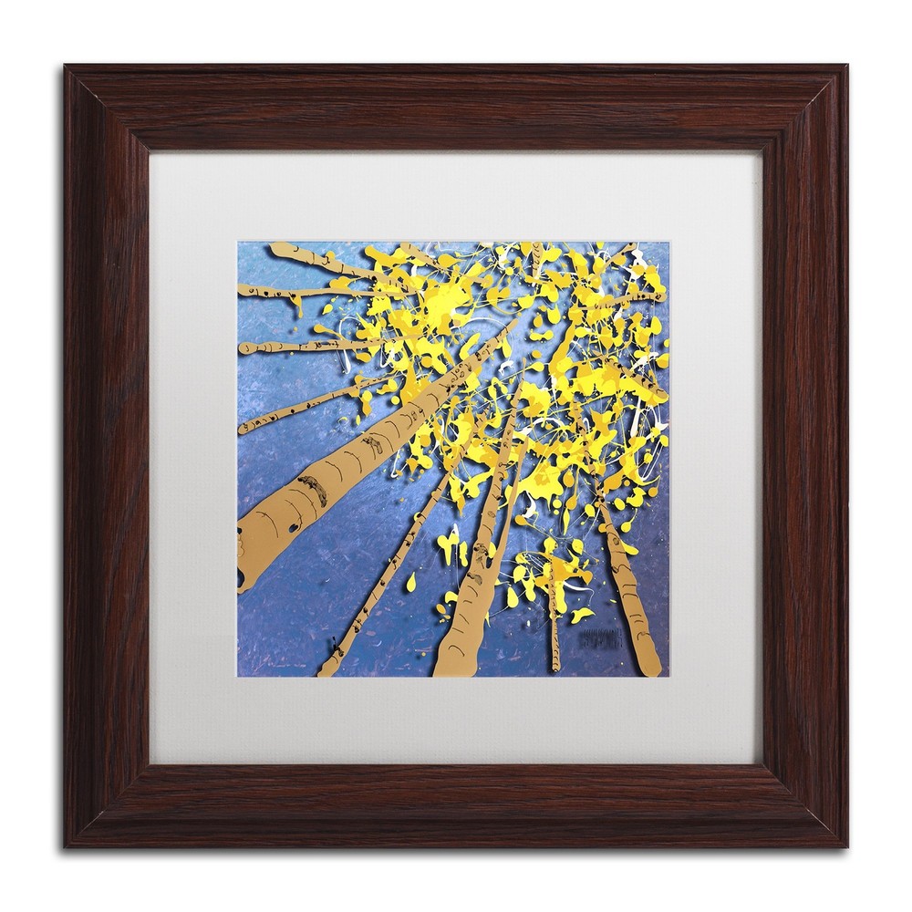 Aspen Sky by Roderick Stevens 11x11 White Matte Wood Frame  