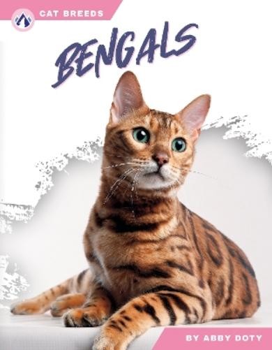 Abby Doty Bengals (Paperback) Cat BreedsAnother great item from Rarewaves USA | Free delivery!