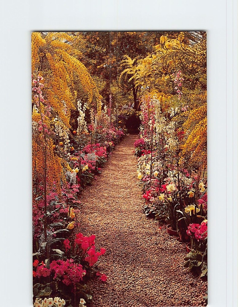 Postcard Longwood Gardens Kennett Square Pennsylvania USA