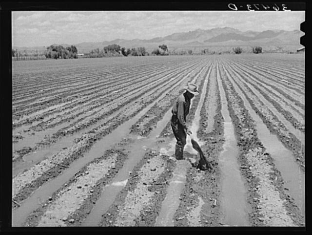 Solomonsville,Arizona,AZ,Graham County,Farm Security Administration,FSA