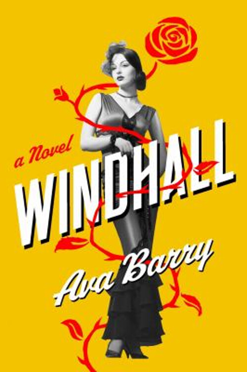 Windhall : A Novel Hardcover Ava Barry