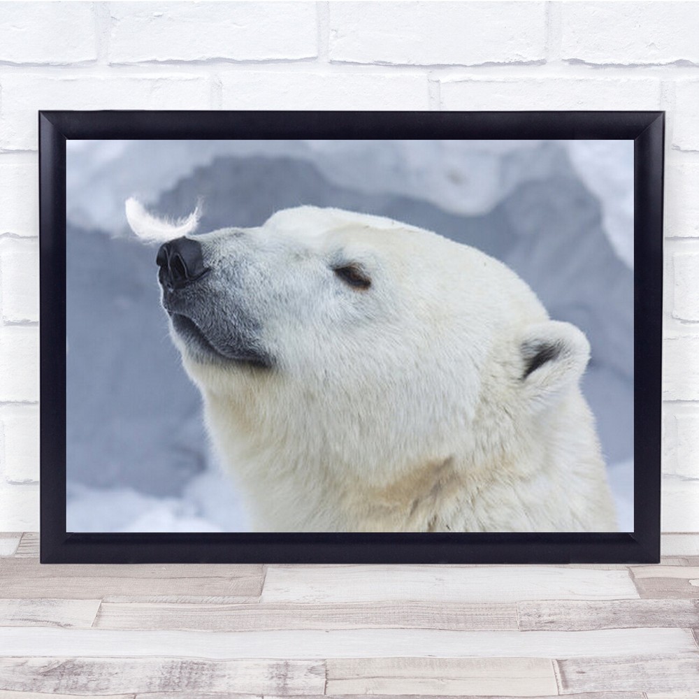 Polar Bear Wall Art Print Happy Smiling Animal Portrait Feather Decor