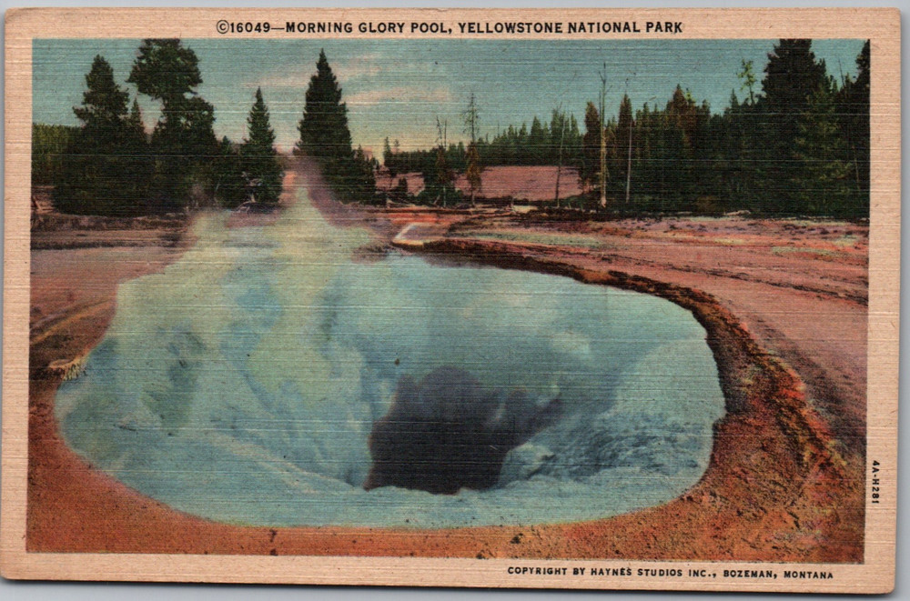 Yellowstone Wyoming WY Morning Glory Pool Park Steam Tree Linen Vintage Postcard