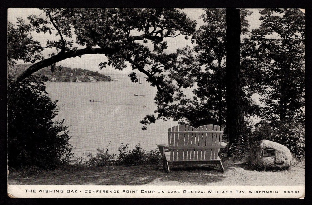 WILLIAMS BAY WISCONSIN Lake Geneva - Wishing Oak -  Divided back postcard