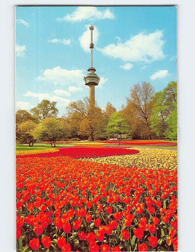Postcard Euromast Space Tower Rotterdam Netherlands
