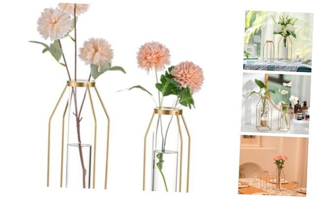 Metal Flower Vase Table Decor - Frame Vase with Glass Test Tubes S+L Gold