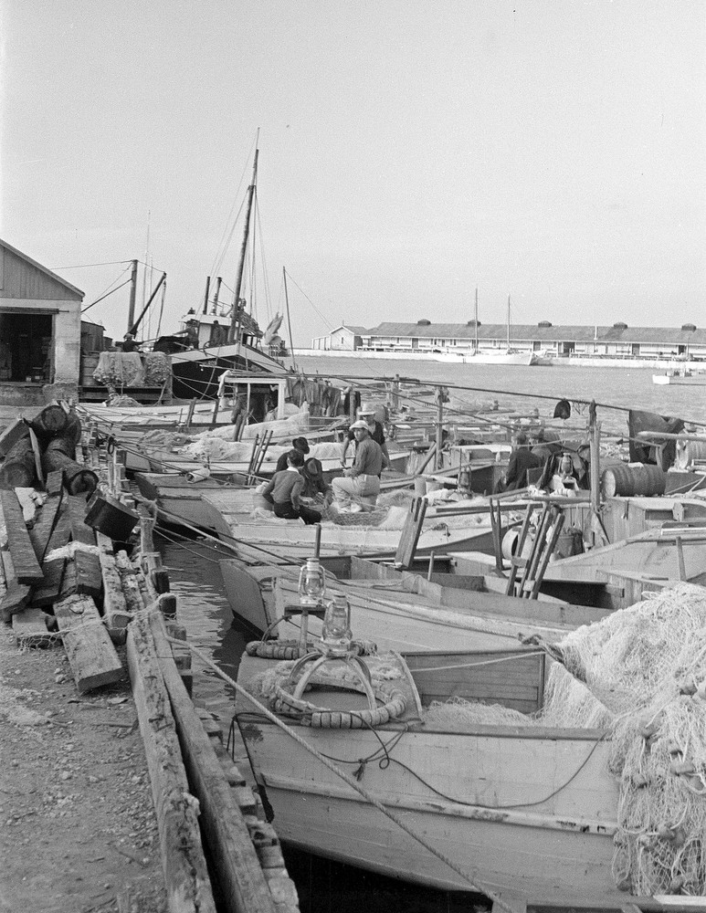 1938 Fisherman's Boats, Key West, Florida Vintage Old Photo 8.5