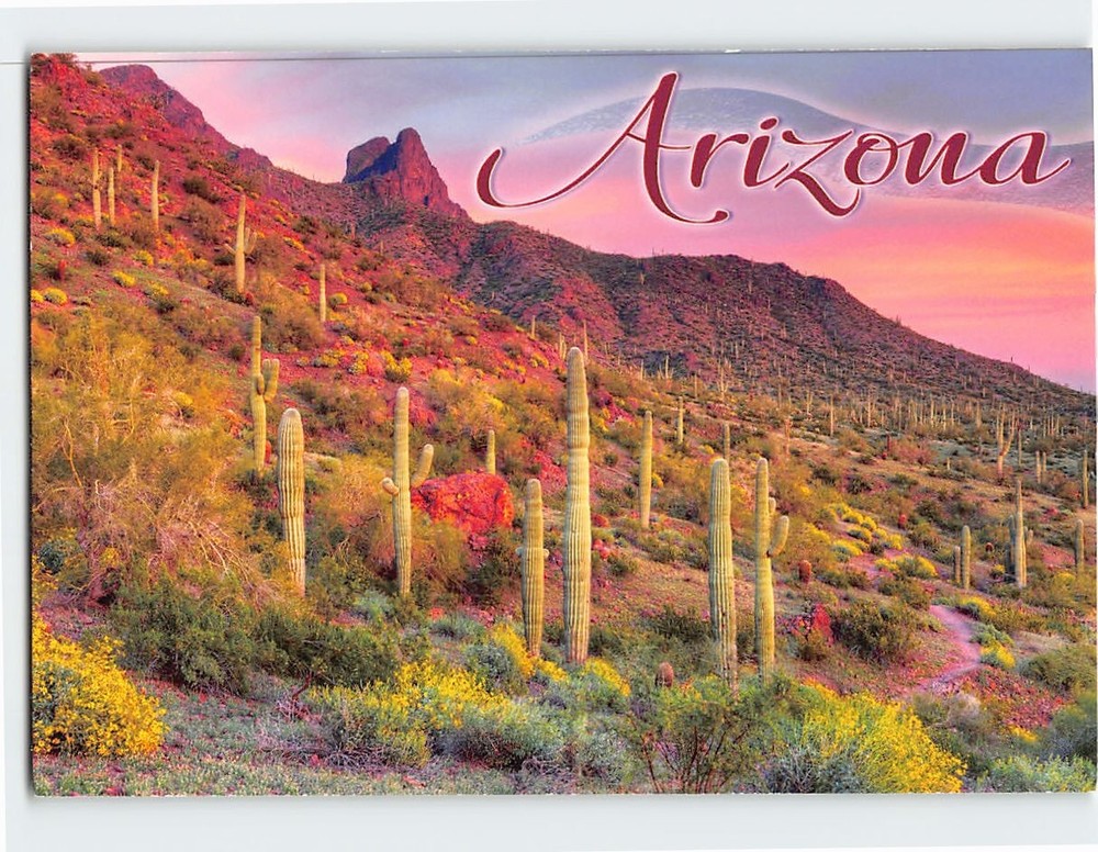 Postcard Picacho Peak State Park Arizona USA