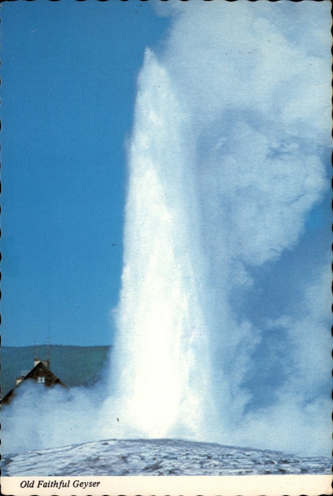Old Faithful Geyser Yellowstone National Park Wyoming vintage postcard p431