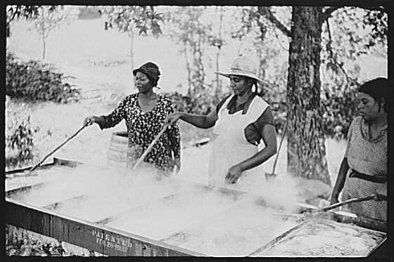 Near Carr,Orange County,North Carolina,Farm Security Administration,1939,FSA,7