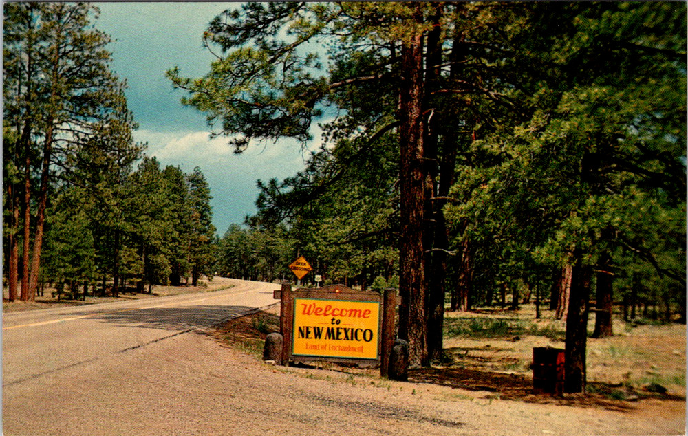 Vintage Postcard Land Of Enchantment New Mexico