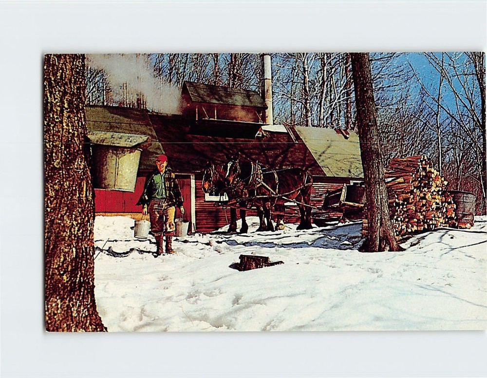 Postcard Maple Sugar Time in Vermont USA